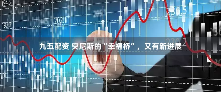 九五配资 突尼斯的“幸福桥”，又有新进展
