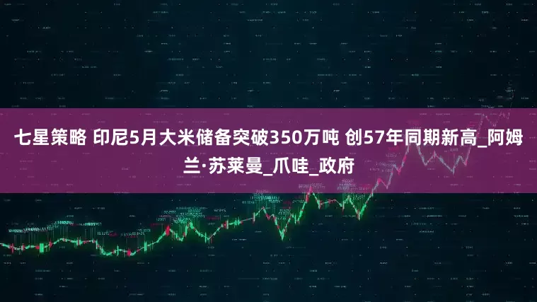 七星策略 印尼5月大米储备突破350万吨 创57年同期新高_阿姆兰·苏莱曼_爪哇_政府