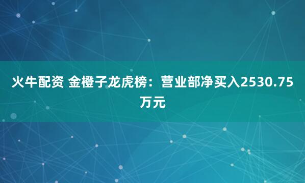 火牛配资 金橙子龙虎榜：营业部净买入2530.75万元