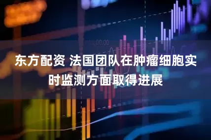 东方配资 法国团队在肿瘤细胞实时监测方面取得进展