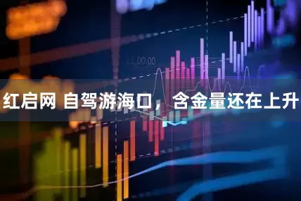 红启网 自驾游海口，含金量还在上升